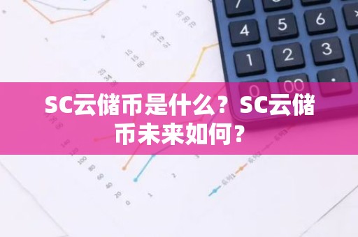 SC云储币是什么？SC云储币未来如何？