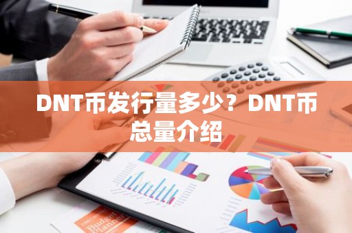 DNT币发行量多少？DNT币总量介绍