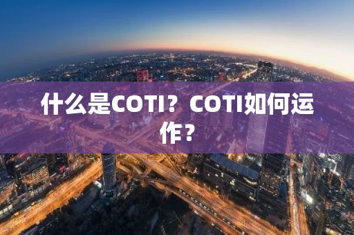 什么是COTI？COTI如何运作？