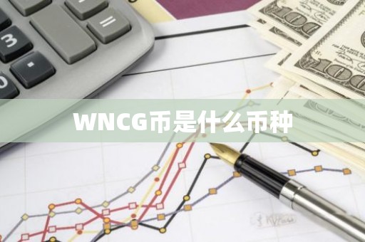 WNCG币是什么币种
