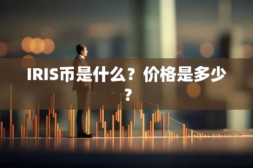 IRIS币是什么？价格是多少？