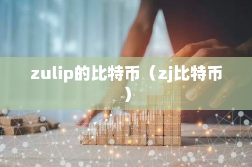 zulip的比特币（zj比特币）