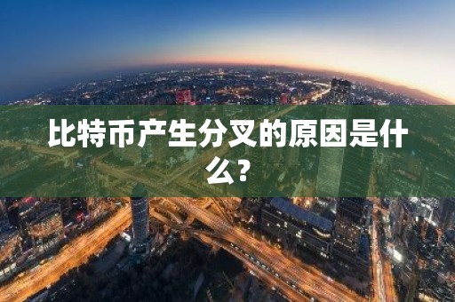 比特币产生分叉的原因是什么？
