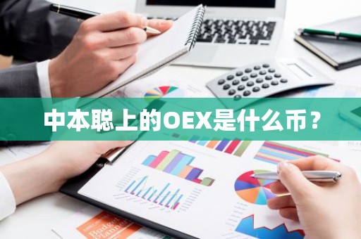 中本聪上的OEX是什么币？
