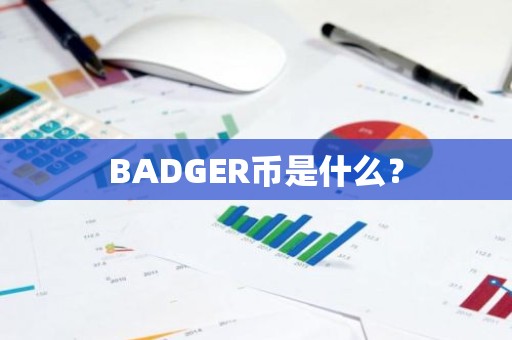 BADGER币是什么？