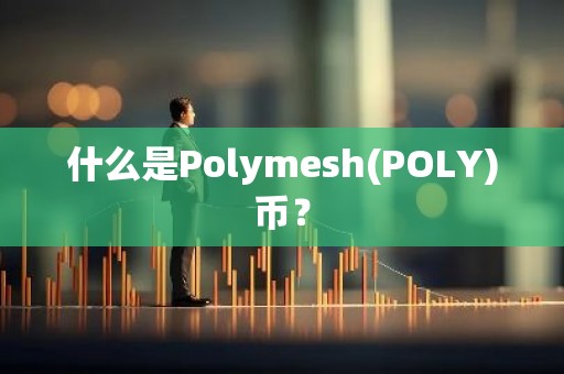 什么是Polymesh(POLY)币？