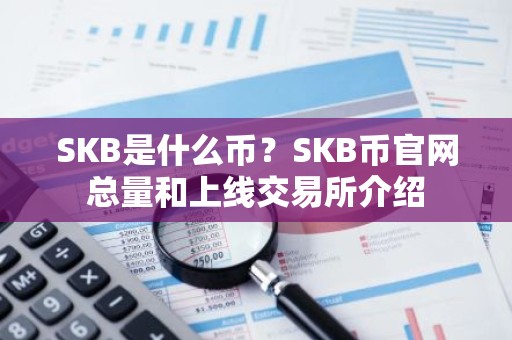 SKB是什么币？SKB币官网总量和上线交易所介绍