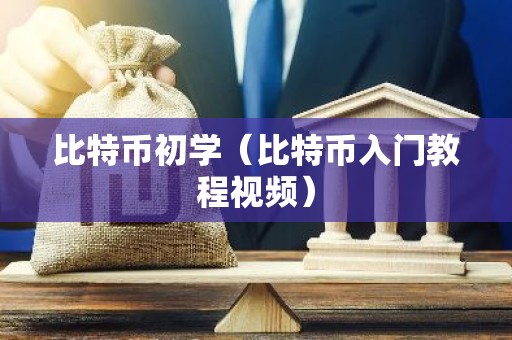 比特币初学（比特币入门教程视频）