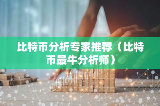 比特币分析专家推荐（比特币最牛分析师）