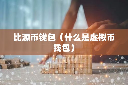 比源币钱包（什么是虚拟币钱包）