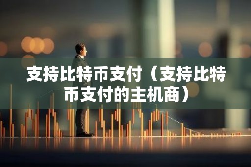 支持比特币支付（支持比特币支付的主机商）