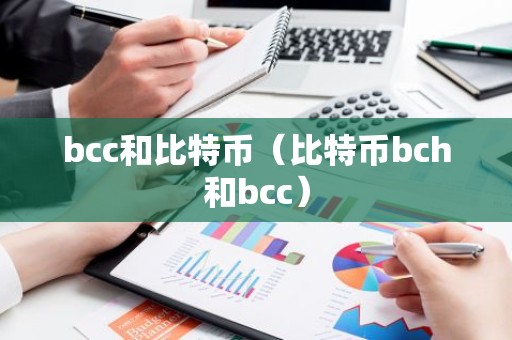 bcc和比特币（比特币bch和bcc）
