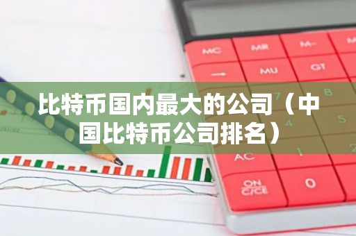 比特币国内最大的公司（中国比特币公司排名）