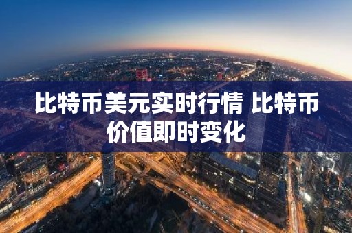 比特币美元实时行情 比特币价值即时变化