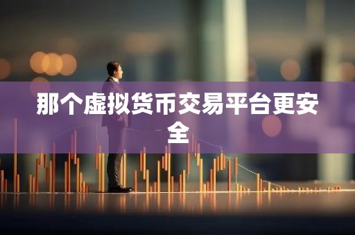 那个虚拟货币交易平台更安全