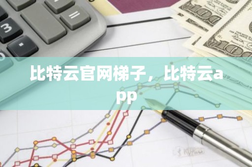 比特云官网梯子，比特云app