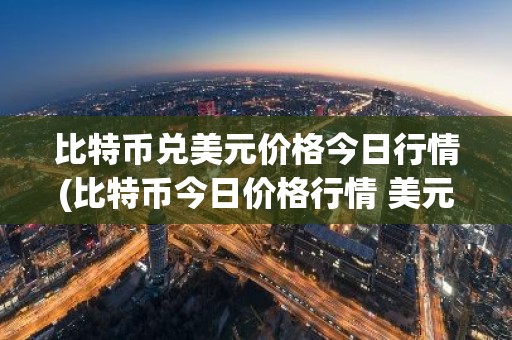 比特币兑美元价格今日行情(比特币今日价格行情 美元)