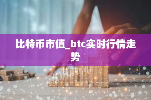 比特币市值_btc实时行情走势