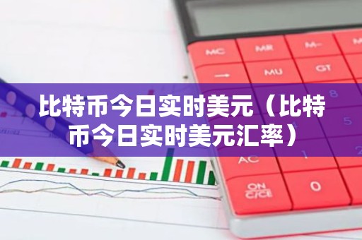 比特币今日实时美元（比特币今日实时美元汇率）