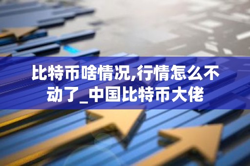 比特币啥情况,行情怎么不动了_中国比特币大佬