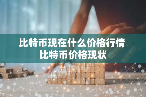 比特币现在什么价格行情 比特币价格现状