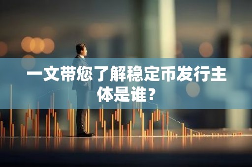 一文带您了解稳定币发行主体是谁？
