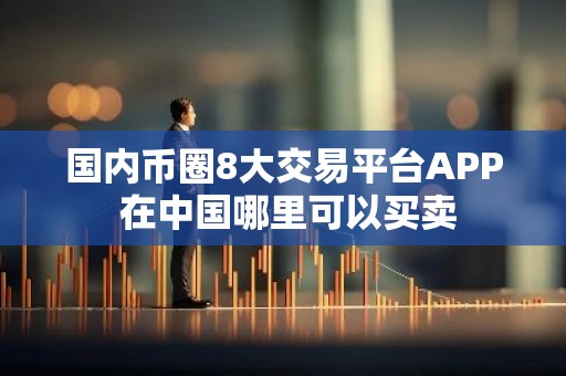 国内币圈8大交易平台APP 在中国哪里可以买卖