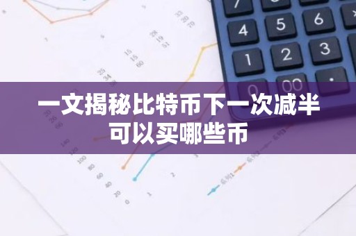 一文揭秘比特币下一次减半可以买哪些币