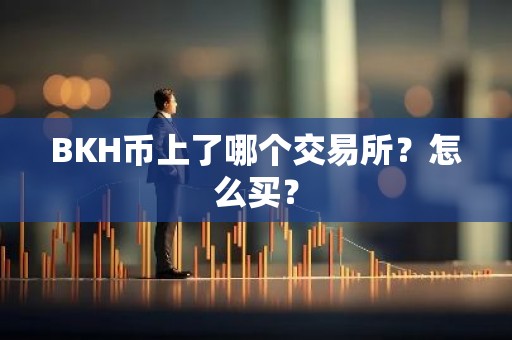 BKH币上了哪个交易所？怎么买？