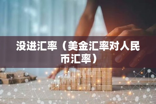 没进汇率（美金汇率对人民币汇率）