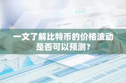 一文了解比特币的价格波动是否可以预测？