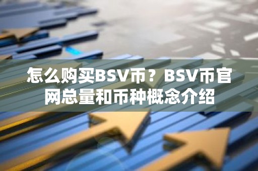 怎么购买BSV币？BSV币官网总量和币种概念介绍
