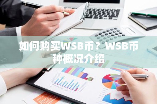 如何购买WSB币？WSB币种概况介绍