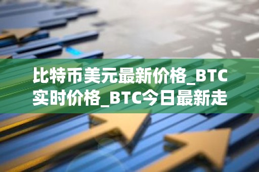 比特币美元最新价格_BTC实时价格_BTC今日最新走势