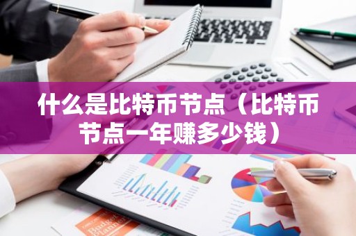 什么是比特币节点（比特币节点一年赚多少钱）