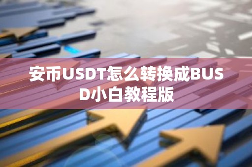 安币USDT怎么转换成BUSD小白教程版