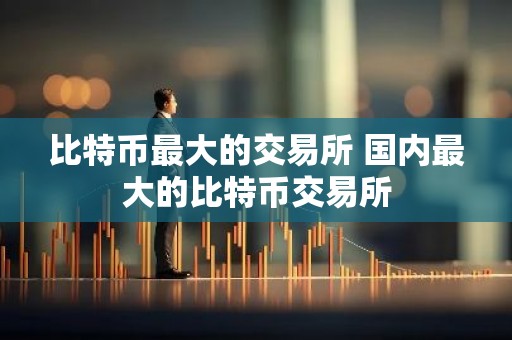 比特币最大的交易所 国内最大的比特币交易所