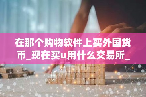 在那个购物软件上买外国货币_现在买u用什么交易所_欧意买bi安全吗
