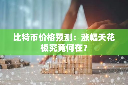 比特币价格预测：涨幅天花板究竟何在？