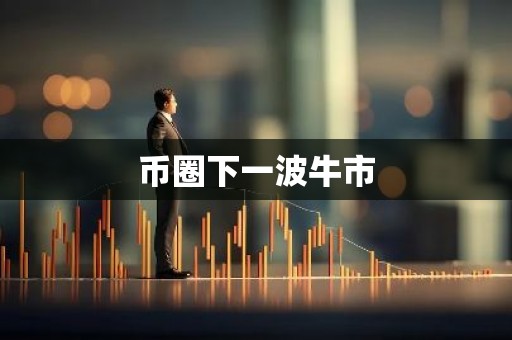 币圈下一波牛市