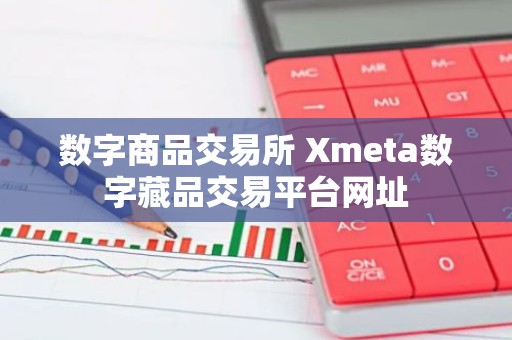 数字商品交易所 Xmeta数字藏品交易平台网址