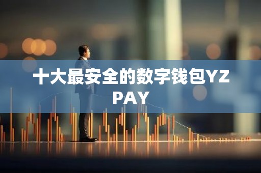 十大最安全的数字钱包YZPAY