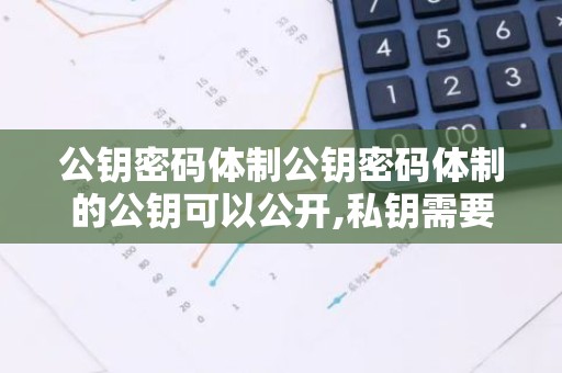 公钥密码体制公钥密码体制的公钥可以公开,私钥需要秘密保存