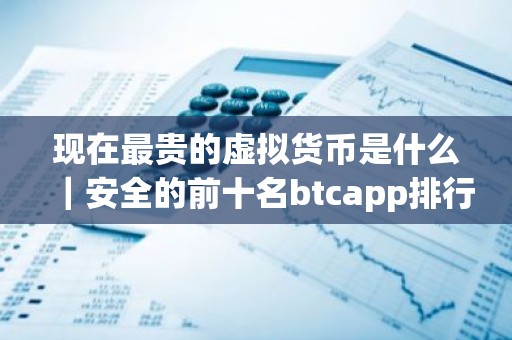 现在最贵的虚拟货币是什么｜安全的前十名btcapp排行榜