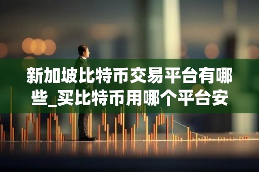 新加坡比特币交易平台有哪些_买比特币用哪个平台安全