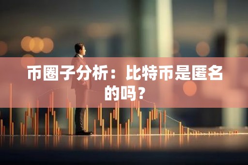 币圈子分析：比特币是匿名的吗？