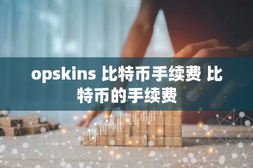 opskins 比特币手续费 比特币的手续费