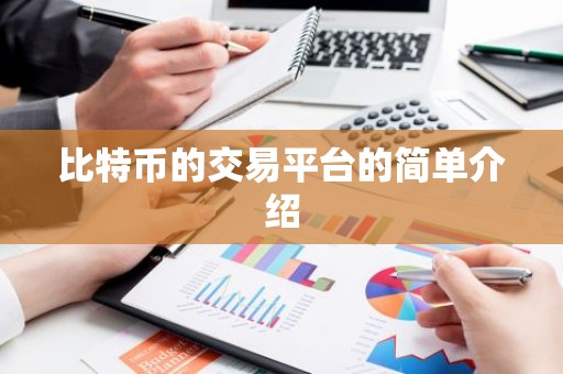 比特币的交易平台的简单介绍