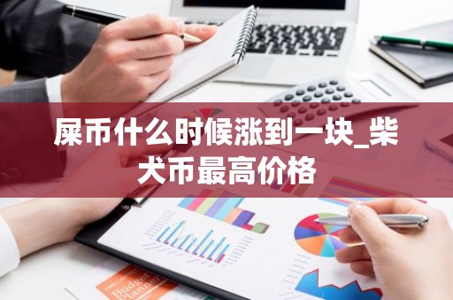 屎币什么时候涨到一块_柴犬币最高价格