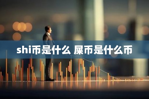 shi币是什么 屎币是什么币